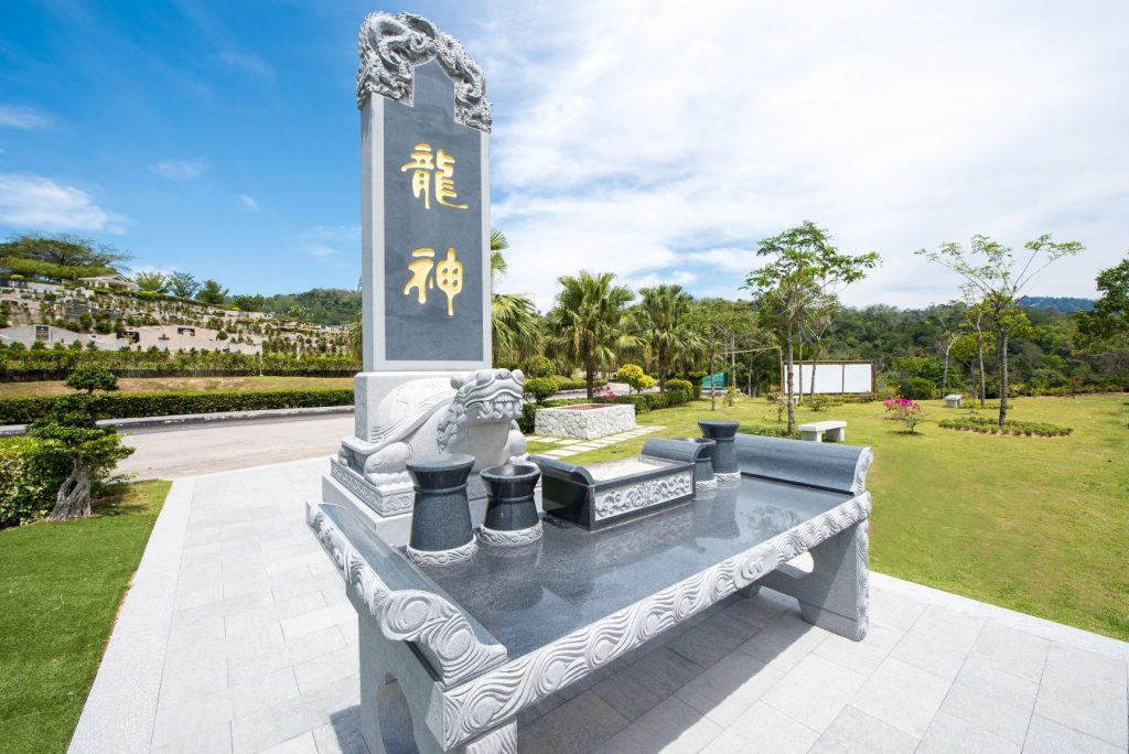 NV Seed 龙龟生基